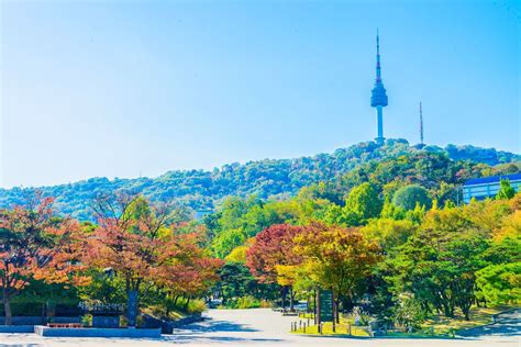 south korea escorted tours|South Korea Tours 2025/2026